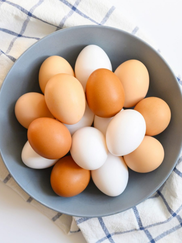 #Eggcheck