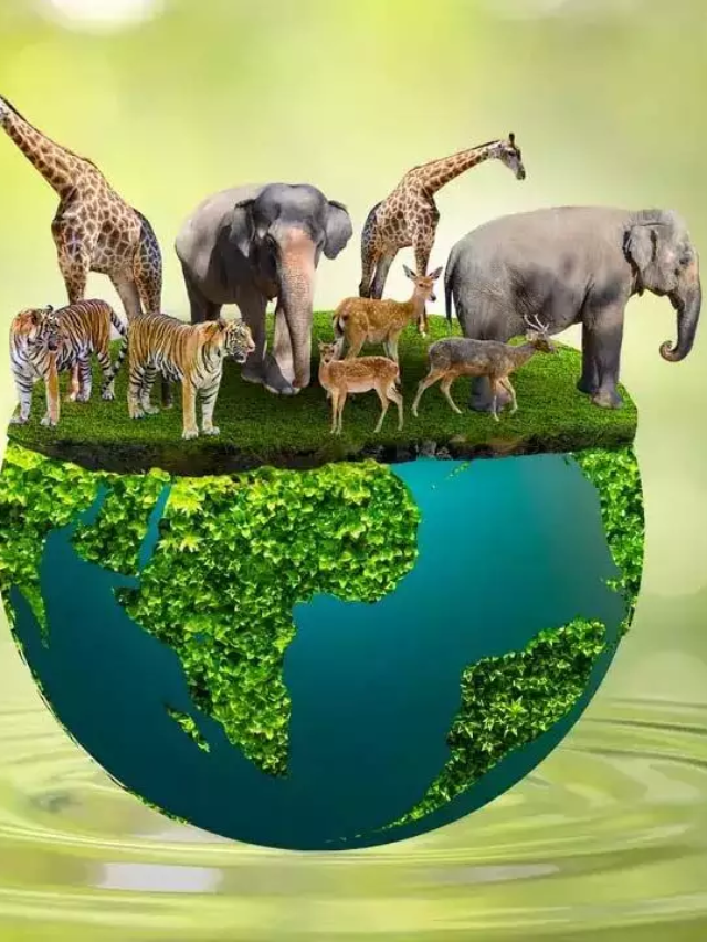 #InternationalDayforBiodiversity2024