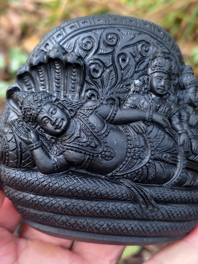 #ShaligramStone