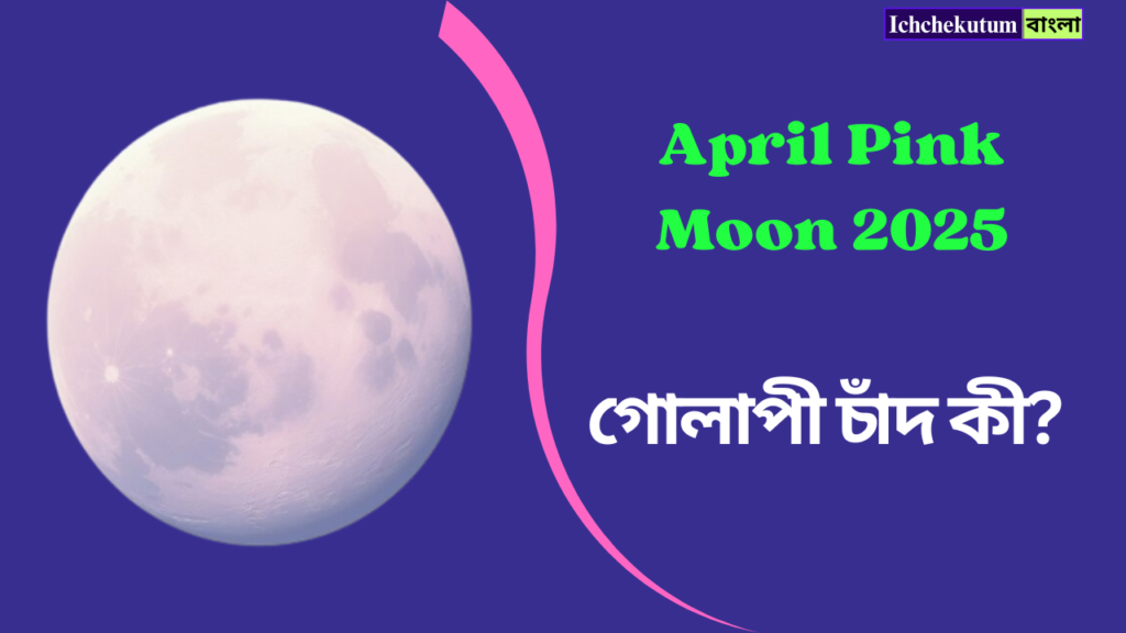 April Pink Moon 2025