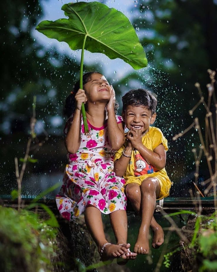 Rain Forecast Rain Forecast