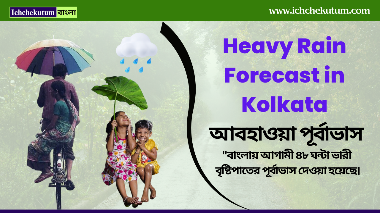 Rain Forecast