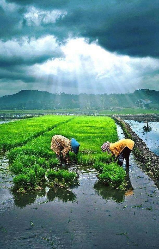 PM Kisan Yojana 20th installment PM Kisan Yojana 20th installment