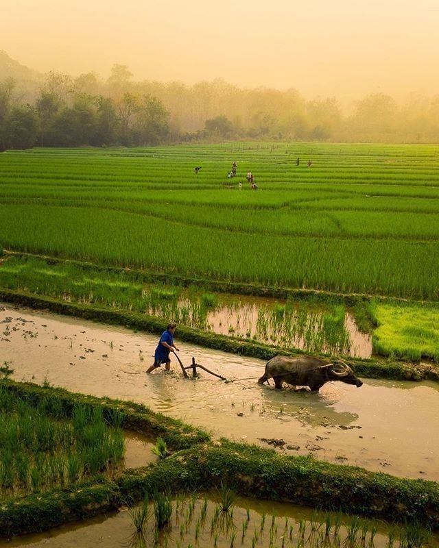 PM Kisan 20th Installment PM Kisan 20th Installment
