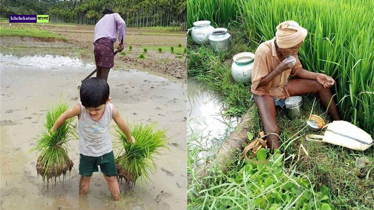 PM Kisan 20th Installment 1 PM Kisan 20th Installment