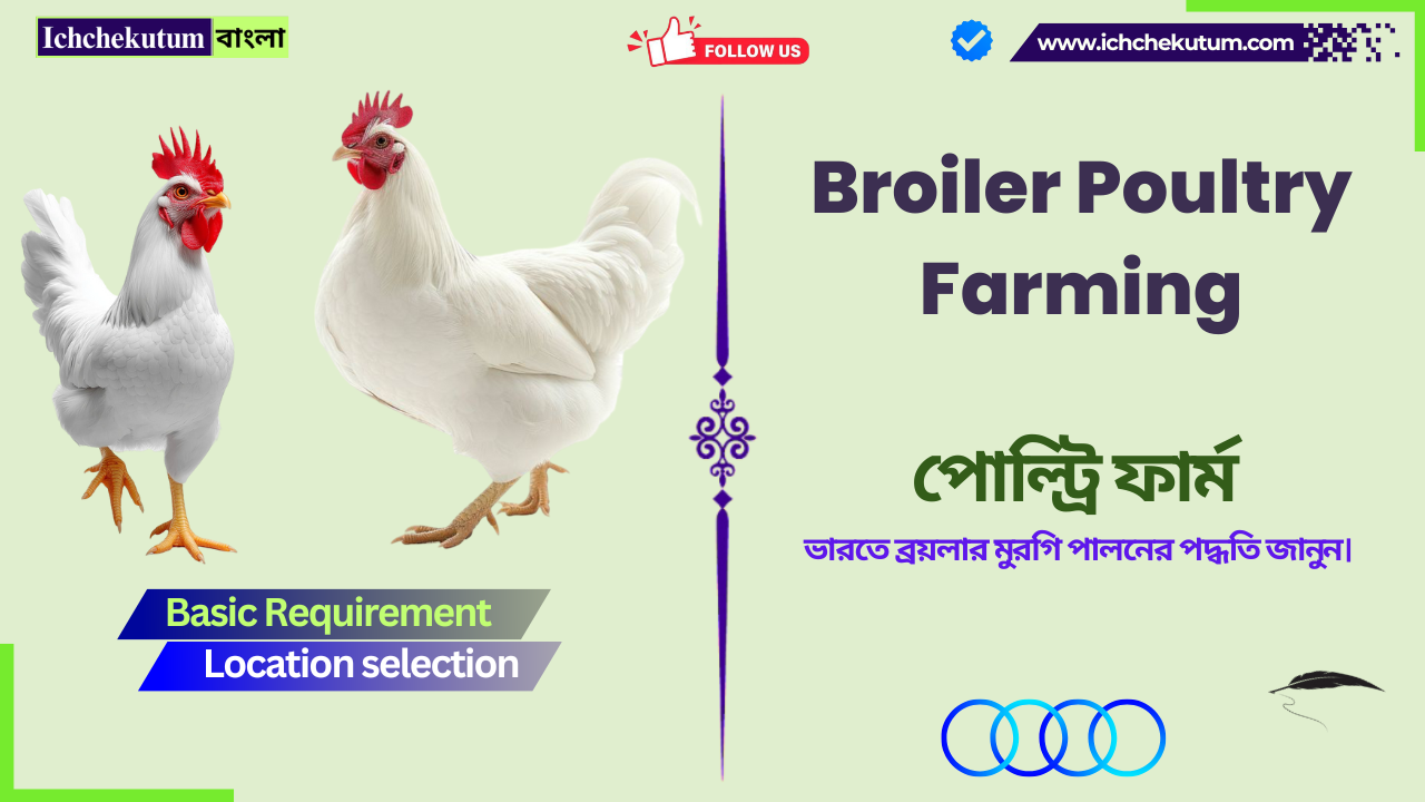 Broiler Poultry Farming in India
