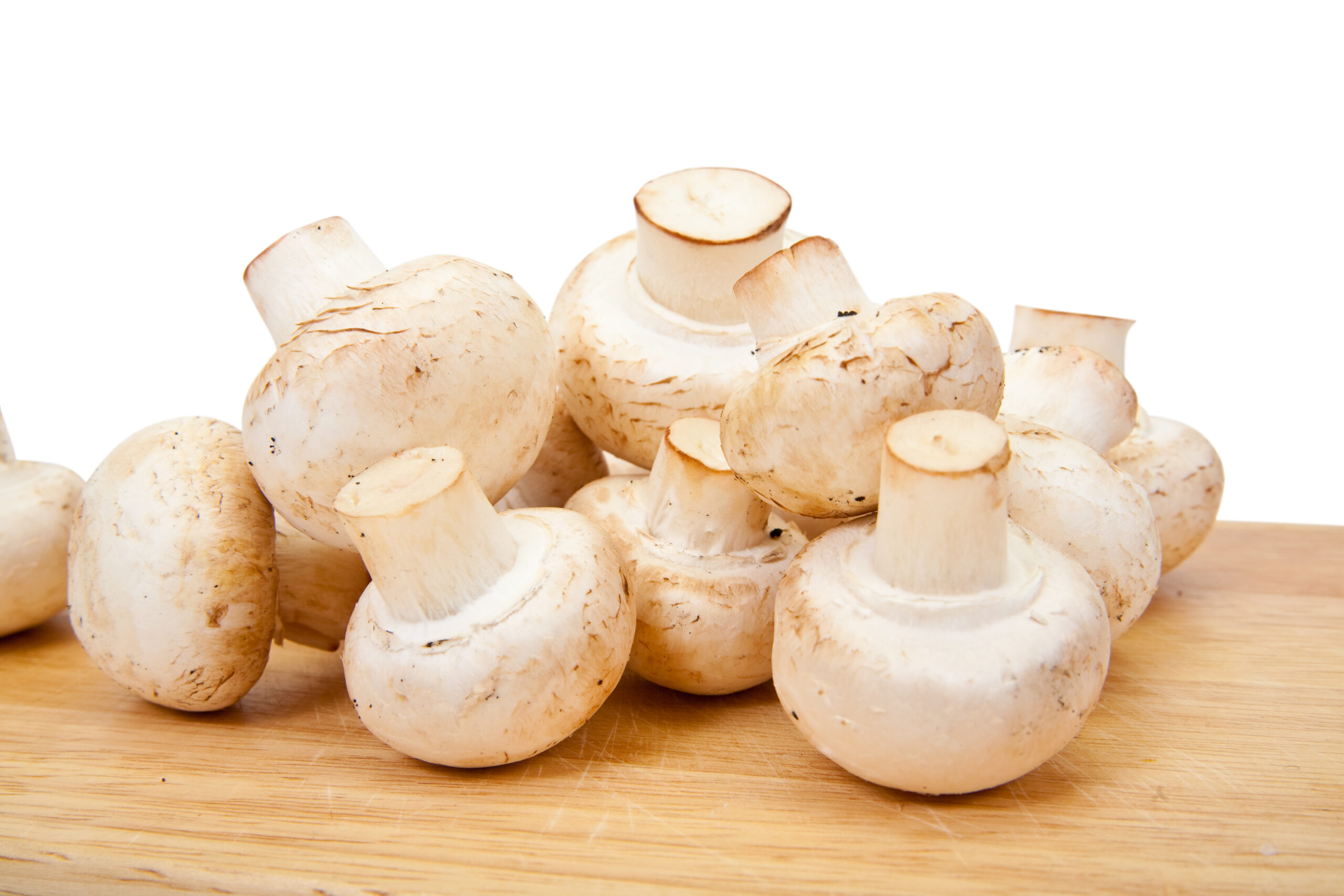 Types of mushroom cultivation in india Types of mushroom cultivation in india
