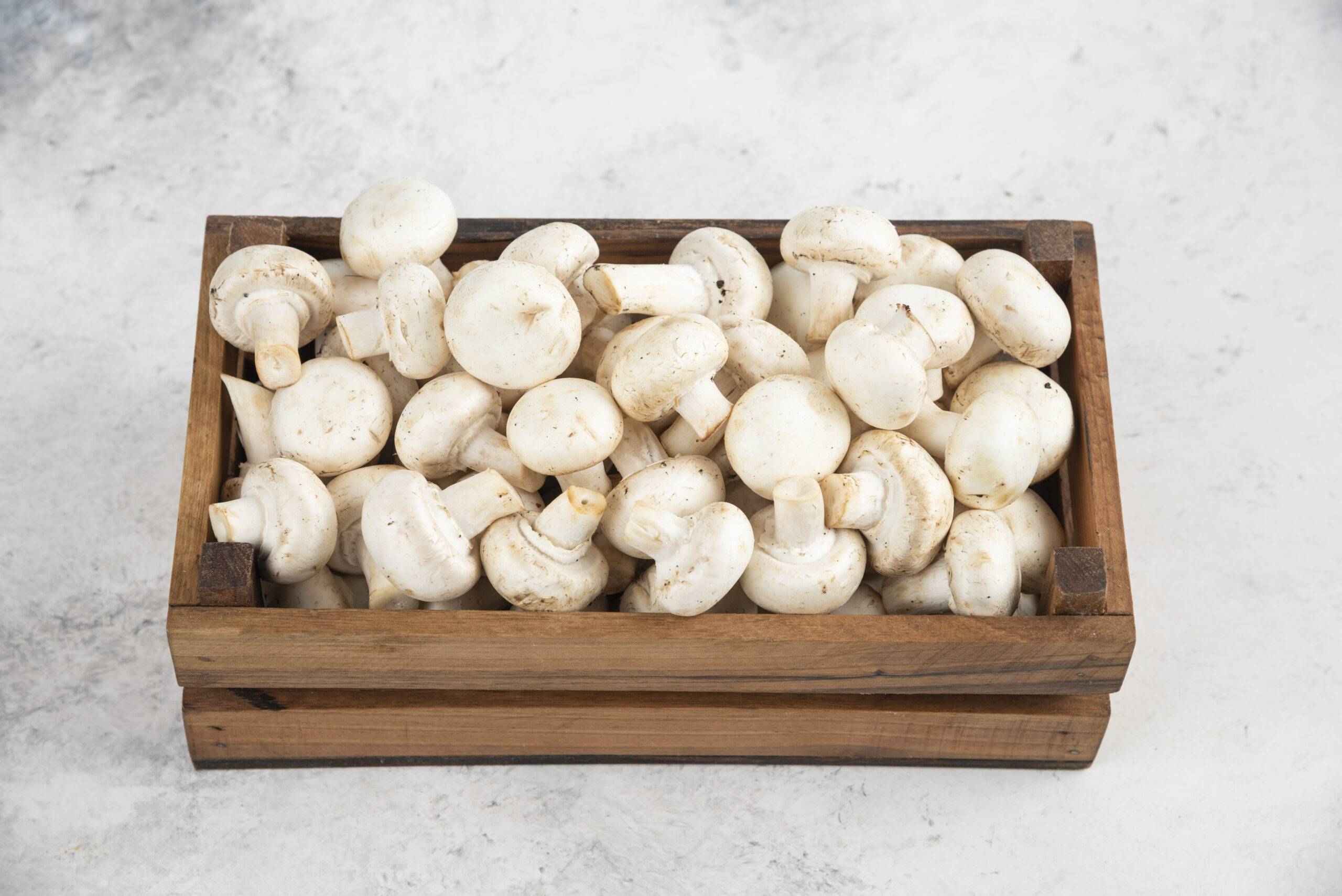 Types of mushroom cultivation in india Types of mushroom cultivation in india