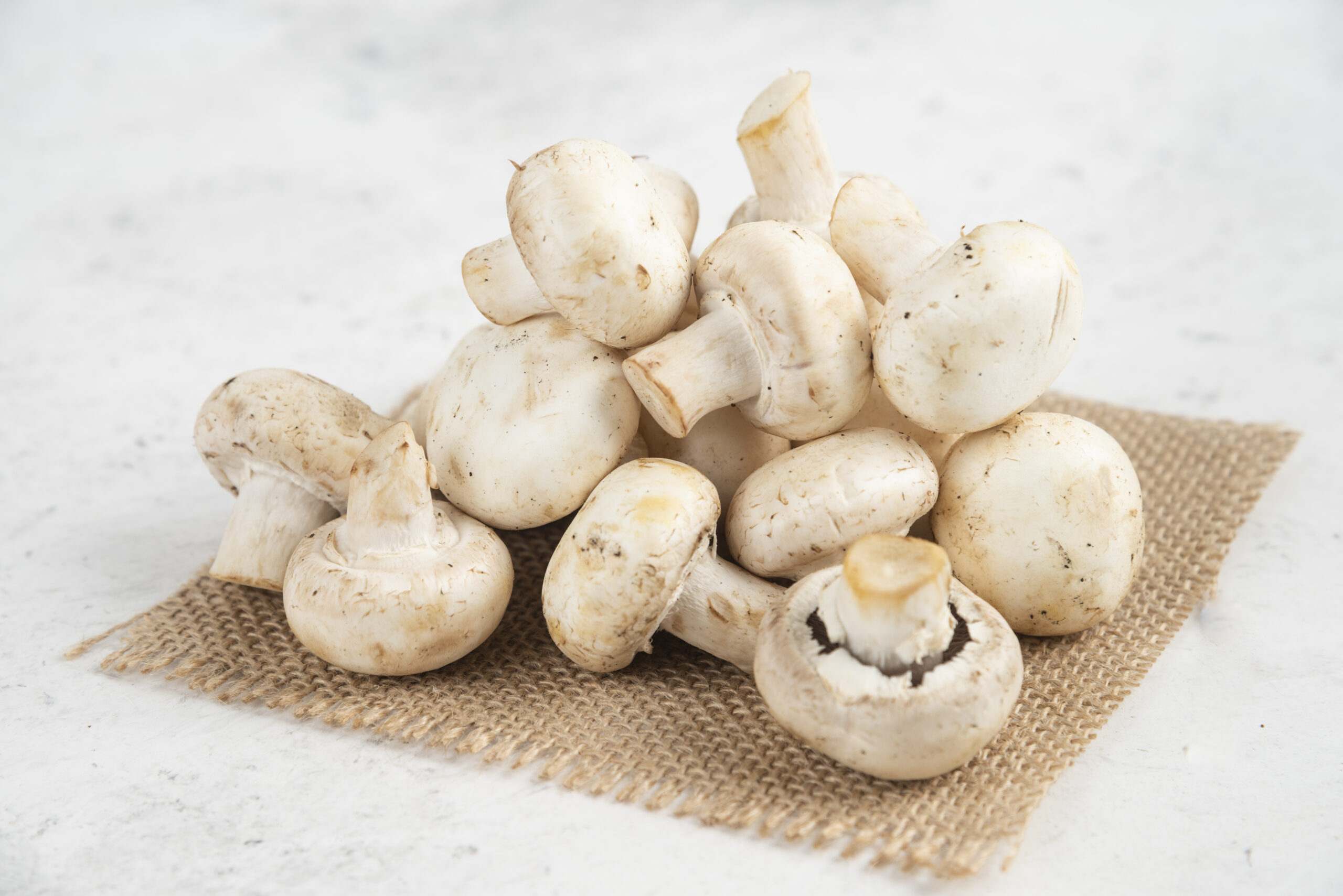 Types of mushroom cultivation in india Types of mushroom cultivation in india