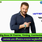 Big Boss 19 Timing