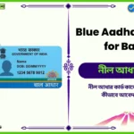 Blue Aadhaar Card for Baby