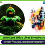 Why Lord Shiva Likes Bilva Patra