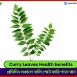Curry Leaves Health benefits