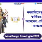 Maa Durga Coming in 2025। নবরাত্রিতে দুর্গা মাতা 'হাতি'তে চড়ে আসবেন, এটি কি শুভ না অশুভ? Maa Durga Coming in 2025