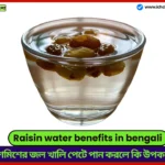 Raisin water benefits in bengali