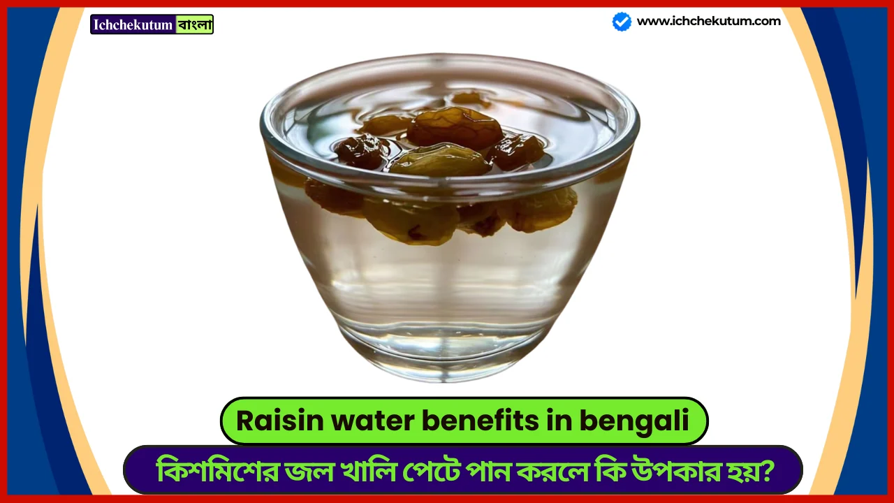 Raisin water benefits in bengali
