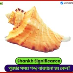 Shankh Significance