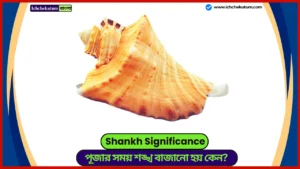 Shankh Significance