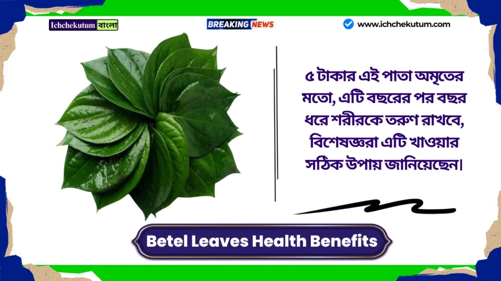 Betel Leaves Health Benefits