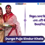 Kolkata Durga Puja Sindur Khela
