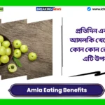 Amla Eating Benefits। প্রতিদিন একটি করে আমলকি খেলে কী হবে? কোন কোন রোগের জন্য এটি উপকারী? Amla Eating Benefits