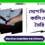 Election Indelible Ink
