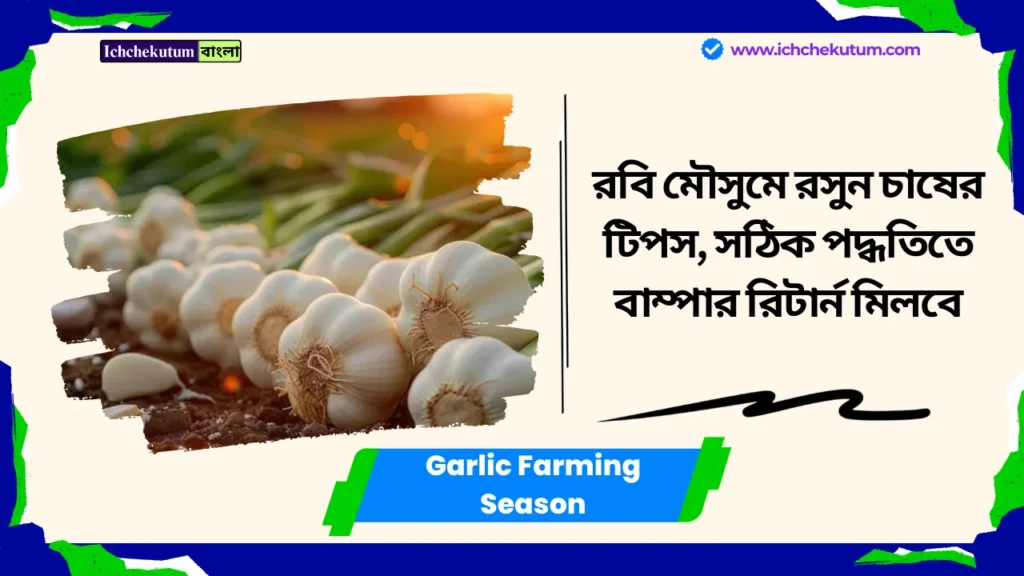 Garlic Farming Season