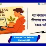 Income Tax Refund Status 2025