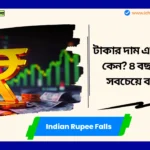 Indian Rupee Falls