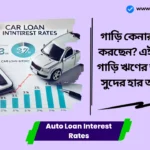 Auto Loan Interest Rates