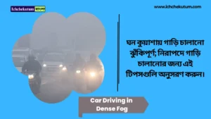Car Driving in Dense Fog