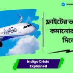 Indigo Crisis Explained। সরকার কঠিন প্রশ্ন তুলল, ইন্ডিগোর সিইওকে হাতজোড় করে দেখা গেল, ফ্লাইটের ভাড়া ১০% কমানোর নির্দেশ দিলেন Indigo Crisis Explained