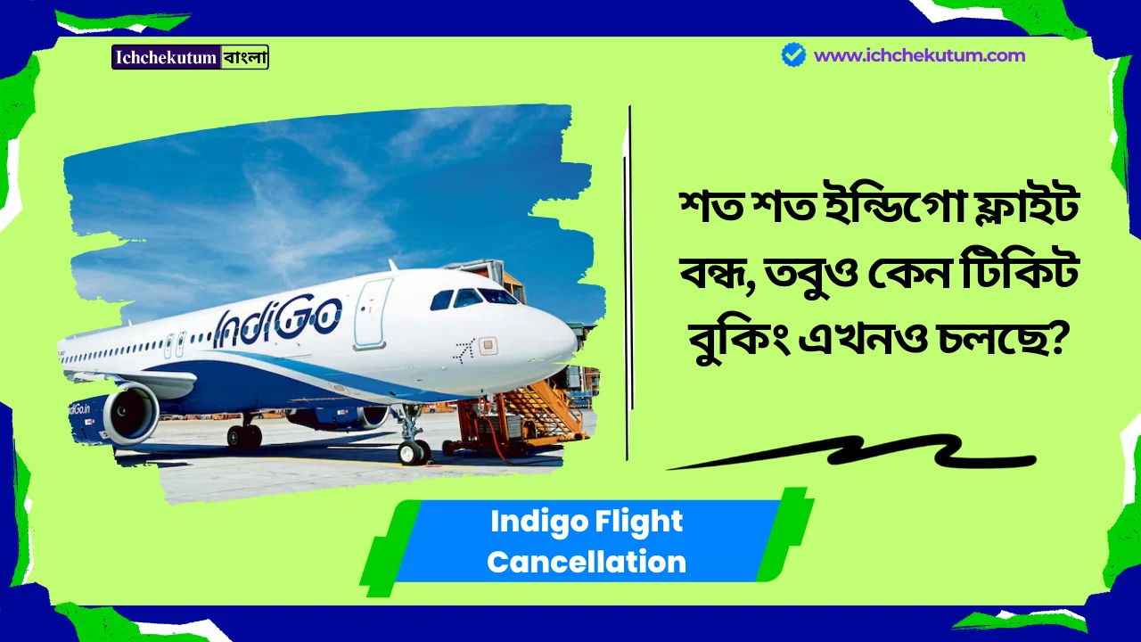 Indigo Flight Cancellation