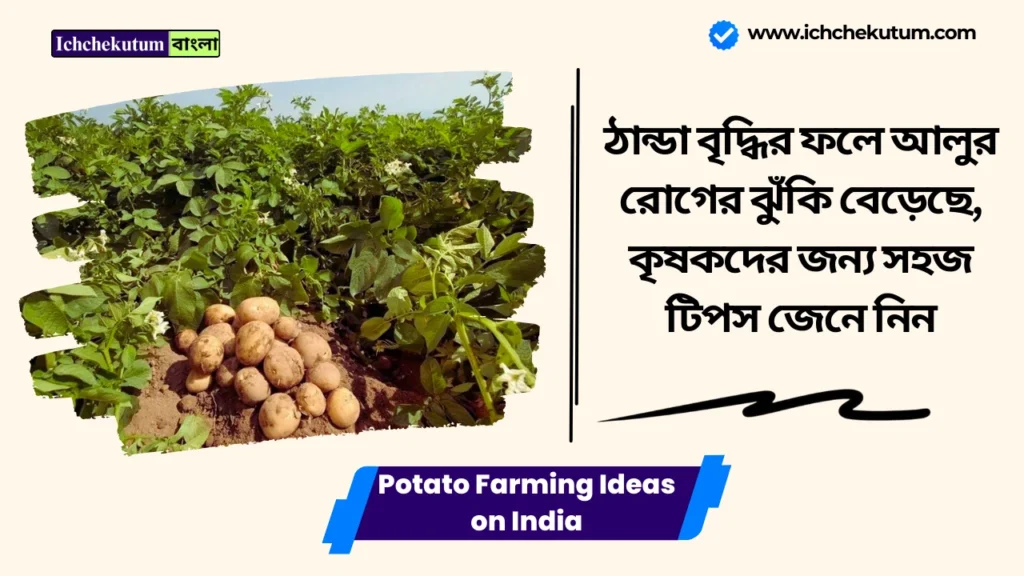 Potato Farming Ideas
