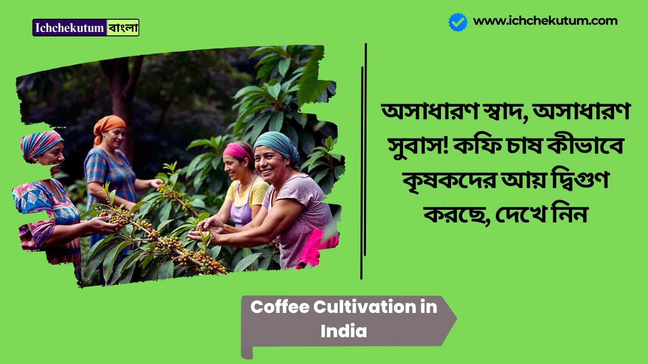 Coffee Cultivation in India