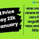 Gold Price Today 22k