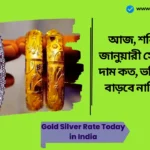 Gold Silver Rate Today in India। আজ, শনিবার, ১০ জানুয়ারী সোনা-রূপার দাম কত, ভবিষ্যতে দাম বাড়বে নাকি কমবে? Gold Silver Rate Today