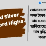 Gold Silver Record Highs