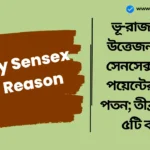 Today Sensex Fall Reason