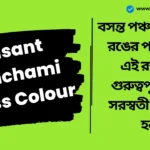 Vasant Panchami Dress Colour: বসন্ত পঞ্চমীতে হলুদ রঙের পাশাপাশি এই রঙটিও গুরুত্বপূর্ণ; দেবী সরস্বতী খুব খুশি হন। Vasant Panchami Dress Colour