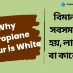 Why Aeroplane Colour is White