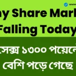 শেয়ার বাজারে বিশৃঙ্খলার কারণে বিনিয়োগকারীদের ₹৩ লক্ষ কোটি টাকা ক্ষতি হয়েছে, সেনসেক্স ১৩০০ পয়েন্টেরও বেশি পড়ে গেছে। - Why Share Market Falling Today Why Share Market Falling Today