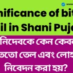 শনিদেবকে কেন কেবল তেতো তেল এবং লোহা নিবেদন করা হয়?- significance of bitter oil in Shani Puja significance of bitter oil in Shani Puja