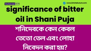 significance of bitter oil in Shani Puja