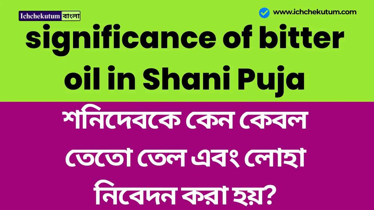 significance of bitter oil in Shani Puja