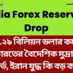 India Forex Reserves Drop