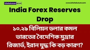India Forex Reserves Drop