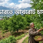 Walnut Farming in India