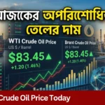Crude Oil Price Today: অপরিশোধিত তেলের দামে বড় পতনের সংকেত, আরও কমার জোরালো পূর্বাভাস Crude Oil Price Today