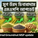 Moong Urad Groundnut MSP update